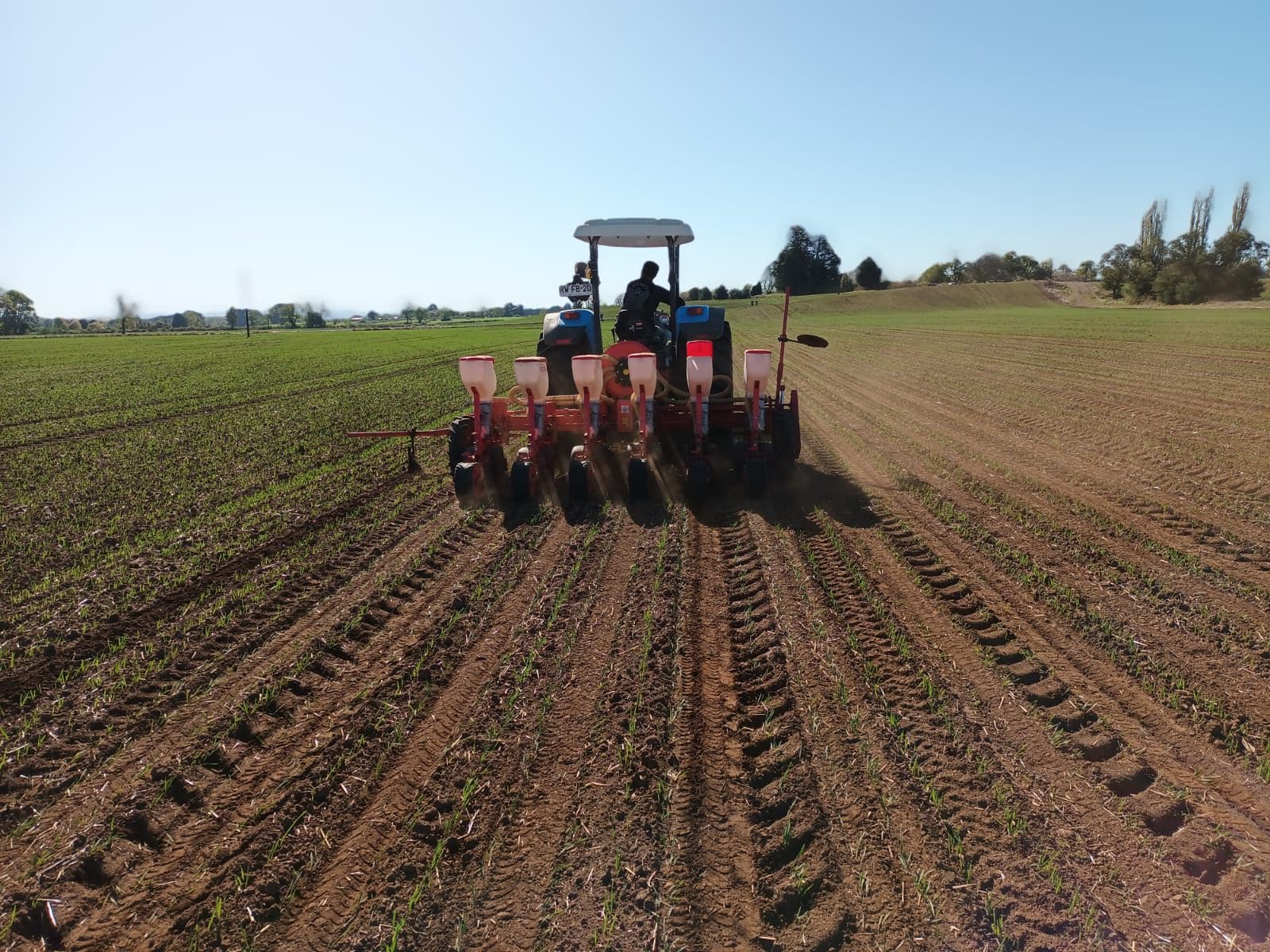 Tractor sembradora